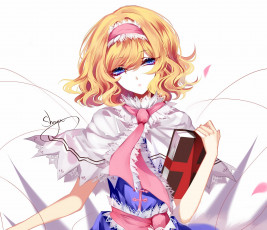 Картинка sheya аниме touhou девушка