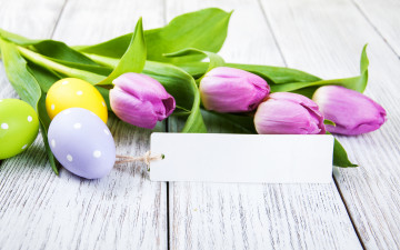 обоя праздничные, пасха, цветы, тюльпаны, happy, flowers, tulips, easter, purple, eggs