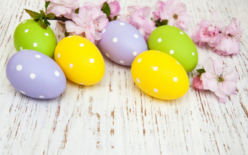Картинка праздничные пасха цветы яйца colorful happy wood blossom flowers spring easter eggs decoration