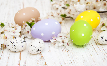 Картинка праздничные пасха цветы яйца colorful happy wood blossom flowers spring easter eggs decoration