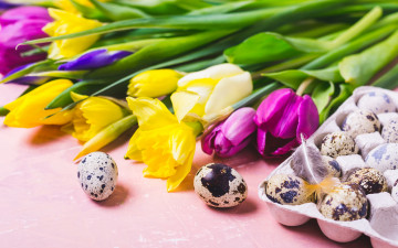 Картинка праздничные пасха цветы яйца colorful тюльпаны happy flowers tulips easter eggs