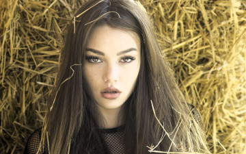 Картинка девушки -+лица +портреты русая лицо сено