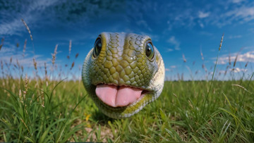 Картинка 3д+графика животные+ animals нейросети графика нейроарт ai art нейронные сети рисунки нейро искусство нейрографика graphics neuroart neural networks drawings neuro neurography