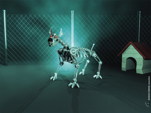 Картинка linux компьютеры