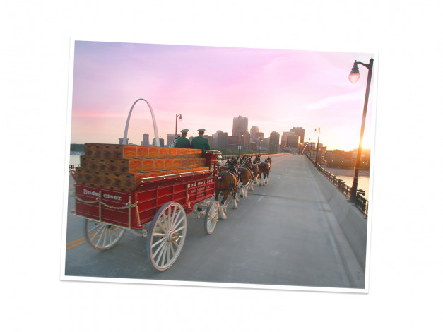 Обои картинки фото бренды, budweiser