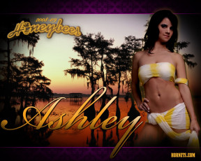 обоя спорт, группы, поддержки