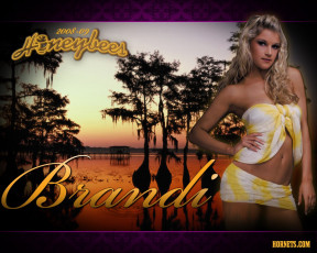 Картинка спорт группы поддержки