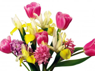 Картинка цветы букеты композиции