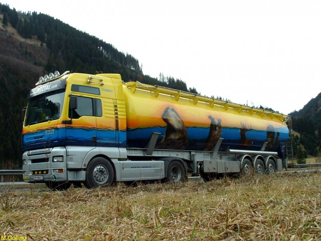 Обои картинки фото автомобили, man