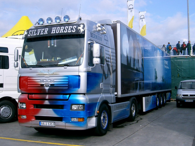 Обои картинки фото автомобили, man