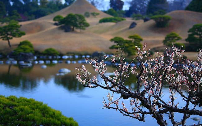 Обои картинки фото природа, парк