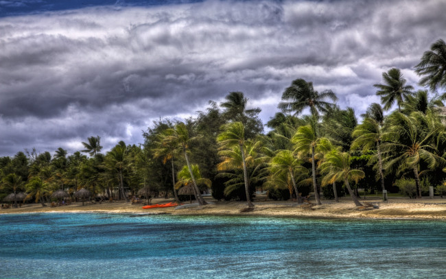 Обои картинки фото природа, тропики