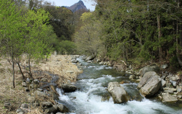 Картинка природа реки озера