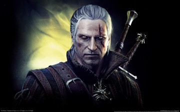 Картинка the witcher assassins of kings видео игры