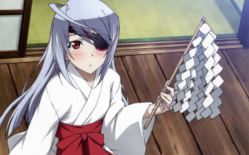 Картинка аниме infinite stratos