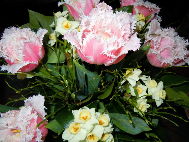 Обои картинки фото цветы, разные, вместе, букет