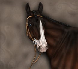 Картинка рисованные животные лошади лошадь