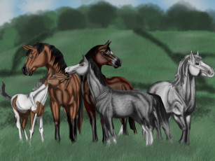 Картинка рисованные животные лошади