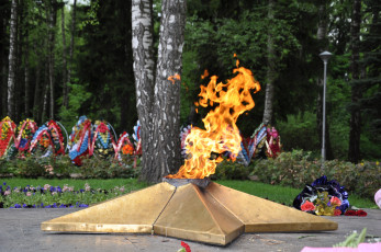 Картинка праздничные день победы венки вечный огонь цветы