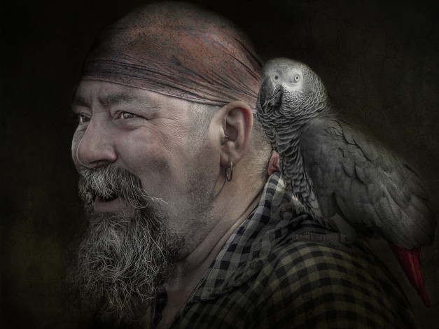 Обои картинки фото мужчины, unsort, пират, попугай