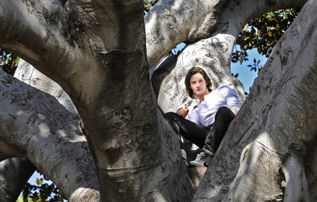 Обои картинки фото ben, barnes, мужчины, дерево, ветки, актер