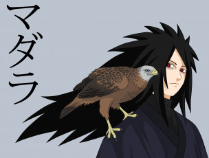 Картинка аниме naruto мадара учиха брюнет парень арт птица