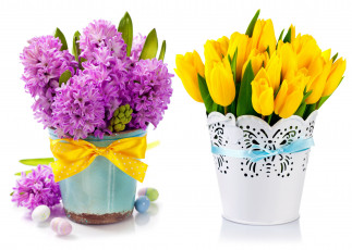 обоя цветы, разные вместе, гиацинты, тюльпаны