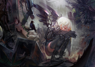 Картинка фэнтези роботы +киборги +механизмы иной мир киборг ангел ворон