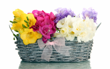 Картинка цветы фрезия корзинка бант желтый розовый белый сиреневый