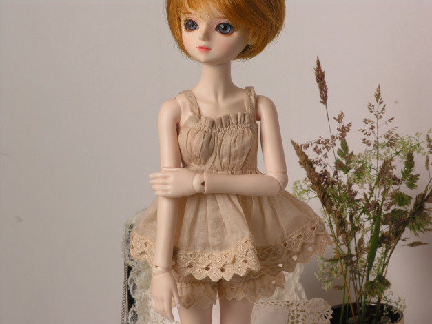 Обои картинки фото разное, игрушки, doll, bjd, кукла, шарнирная, платье, рыжая