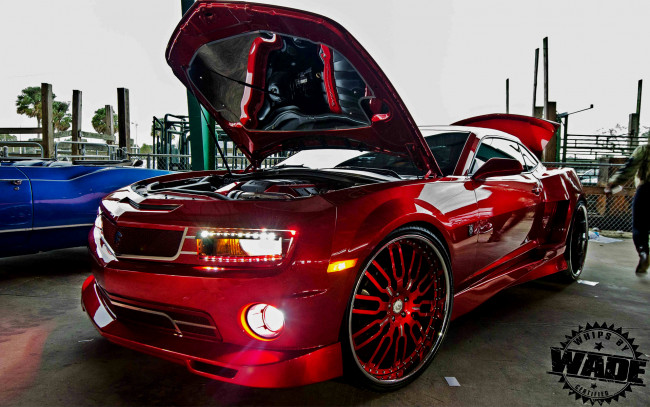 Обои картинки фото автомобили, выставки и уличные фото, camaro