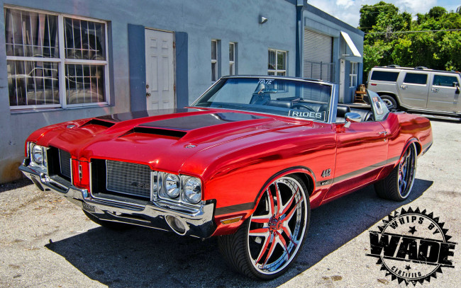 Обои картинки фото автомобили, выставки и уличные фото, cutlass