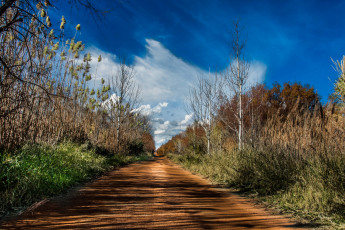 Картинка природа дороги тракт