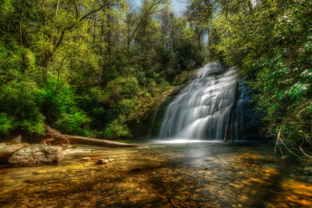 Картинка природа водопады лес река водопад