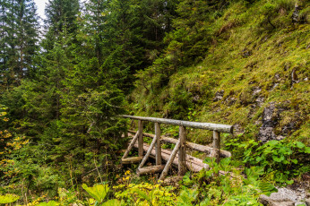 Картинка природа дороги тракт