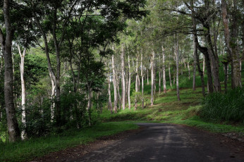 Картинка природа дороги тракт