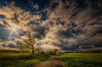 Картинка природа дороги тракт