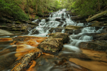 Картинка природа водопады водопад лес река