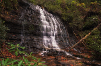 Картинка природа водопады лес водопад река