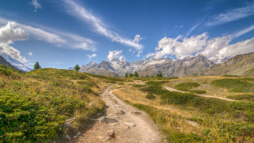 Картинка природа дороги тракт