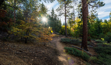 Картинка природа дороги тракт