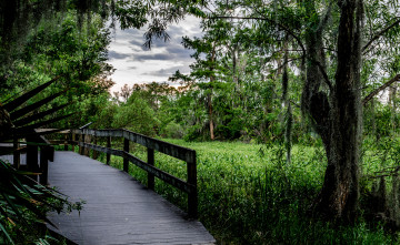 Картинка природа дороги тракт