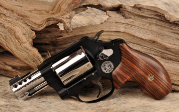 Картинка оружие револьверы gemini pistols