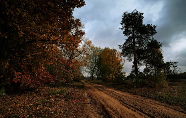 Обои картинки фото природа, дороги, тракт