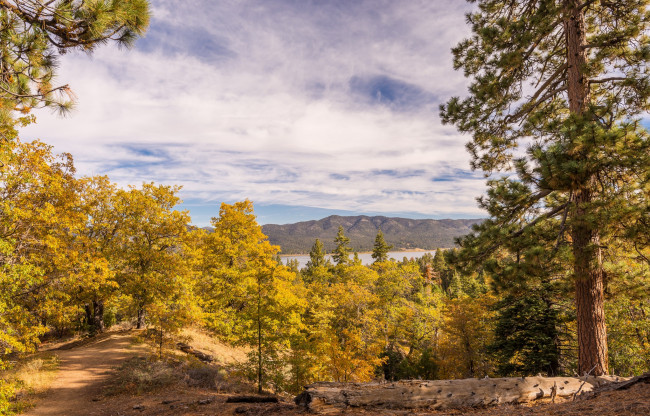 Обои картинки фото природа, дороги, тракт