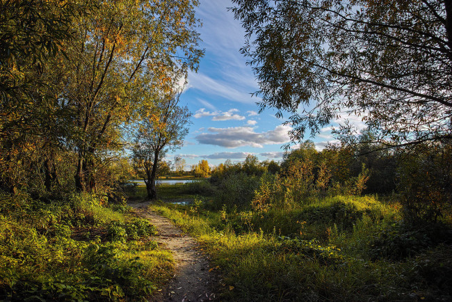 Обои картинки фото природа, дороги, тракт