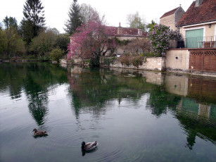 Картинка города -+пейзажи дом сирень озеро