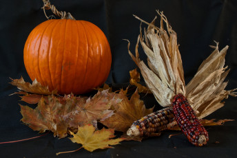 Картинка еда овощи снедь