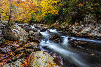 Картинка природа реки озера река лес