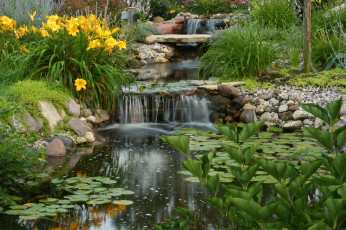 Картинка природа водопады водопад река лес